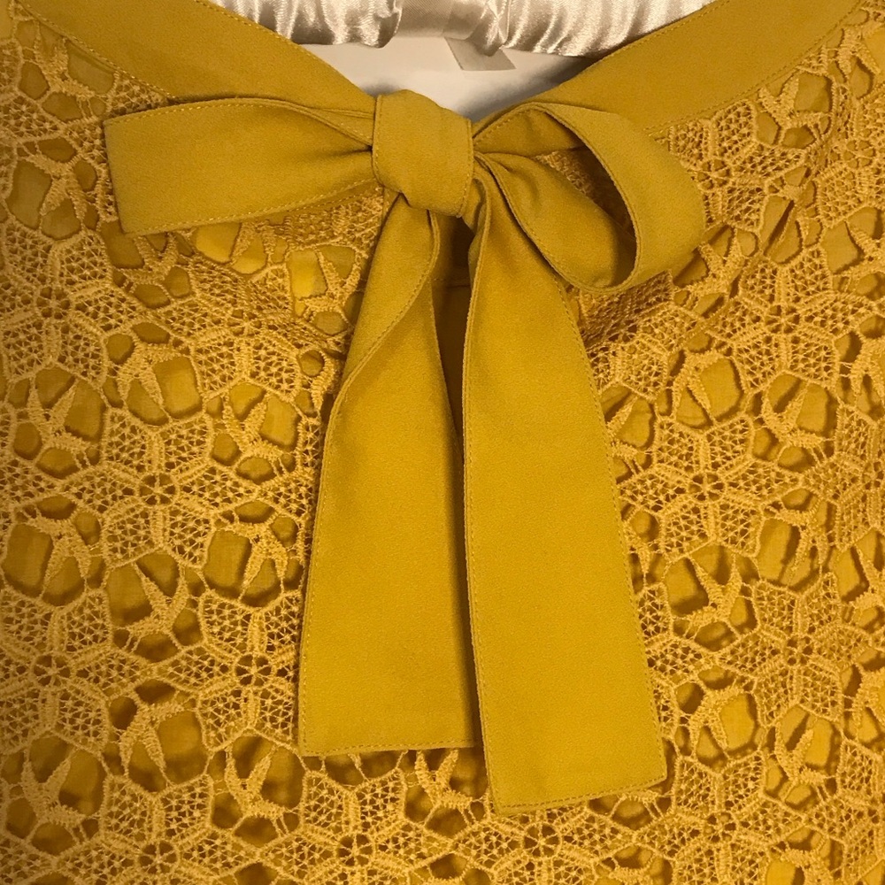 Italian Max & Co. Mustard Lace Blouse New, Never Worn Sign 10 lined, reversible - Picture 5 of 9